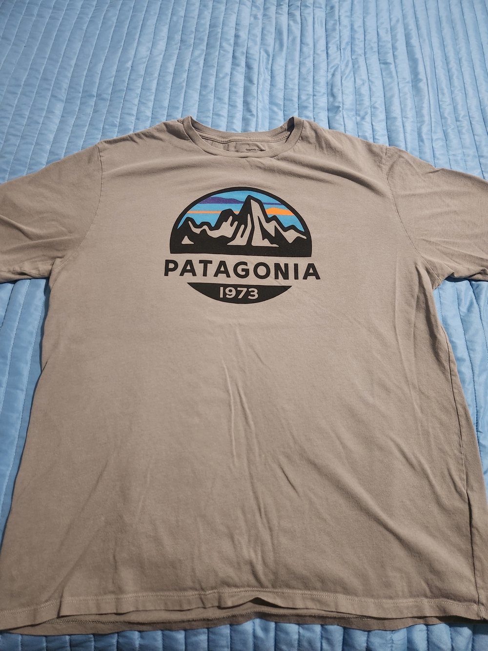 Patagonia Men’s 1973 Logo T-Shirt - Taupe
